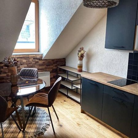 Cozy And Warm Apartment In The Heart Of Karlsbad Exteriér fotografie