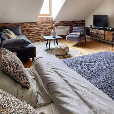 Cozy And Warm Apartment In The Heart Of Karlsbad Exteriér fotografie